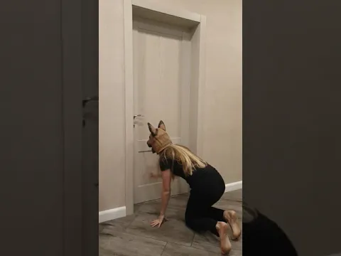 Best funny videos 81 by Tanya and Misha - dogs are playing #Shorts