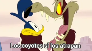 Porque los correcaminos tienen miedo a los coyotes teoria Looney Tunes