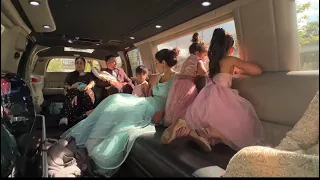 1st Time In A Limousine… Last Day At The Wedding | @TwinBabyDiaries