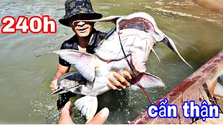 Tay Chân Bủn Rủn Lo Sợ Chạm Mặt Thủy Quái Khi SINH TỒN 240H Trong Rừng