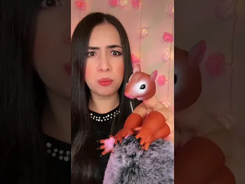 Asmr - Cuidando do esquilo
