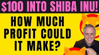 IF YOU PUT $100 INTO SHIBA INU TODAY - HOW MUCH PROFIT COULD IT MAKE?
