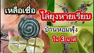 เหลือเชื่อ!สูตรกำจัดยุงดีที่สุดมดแมลงจิ้งจกตุ๊กแกไล่หนูในบ้านหายเรียบยุงควันจะไม่มากวนคุณแม่ก้อยพาทำ