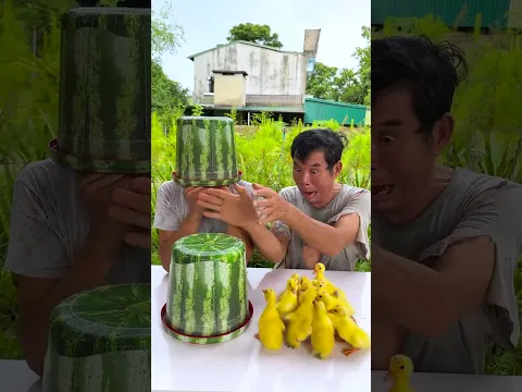 兩兄弟互相逗趣的樣子超級可愛🍉🐤🦆 #超能下蛋鴨週年慶 #這也能開播 #看完暑期檔我想說 #懷欽汽水星願卡 #秦昊jeff汽水星願卡
