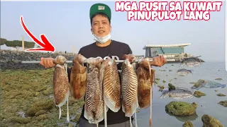 EPS-250 PINUPULOT LANG AT TINUTUSOK ANG MGA CUTTLE FISH PUSIT SA BANSANG KUWAIT