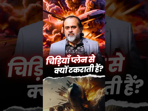 चिड़ियाँ प्लेन से क्यों टकराती हैं? || आचार्य प्रशांत