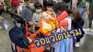 วอแวโดนรุม!! วอแวบุกงานบ้านและสวนแฟร์ | วอแวเป็ดมีผม