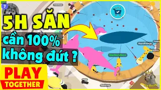 (Play Together) Thử thách săn Cá Heo Hồng và cái kết ấm lòng - cần câu 100% không đứt?