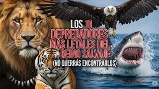 Los 10 depredadores más letales de la Tierra ( documentales los más sorprendentes)