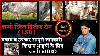 लम्पी स्किन डिजीज रोग-LSD बचाव व उपचार सम्पूर्ण जानकारी, किसान भाइयों के लिए जरूरी VIDEO-Subhash Sir