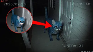 📹🔎😨 Home Security Camera Captures Derpy at 2:13 AM