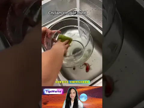 Membersihkan akuarium dengan cara unik #aquarium #fish #unique #creative #washing #fun #shorts