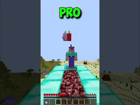 NOOB vs PRO: Minecraft Parkour (World's Smallest Violin) #shorts