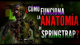 ¿Cómo Funciona La ANATOMÍA De SPRINGTRAP?