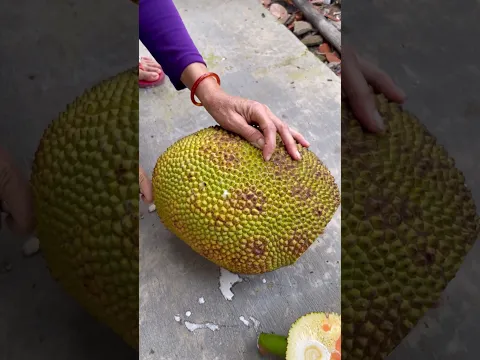 Red-fleshed jackfruit is very beautiful - That's so great