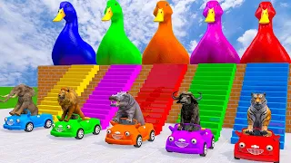 Long Slide Game With Hippopotamus Tiger Buffalo Elephant Lion - 3d Animal Game - Funny 3d Animals