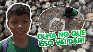 FIZ CASTANHA NO TACHO 