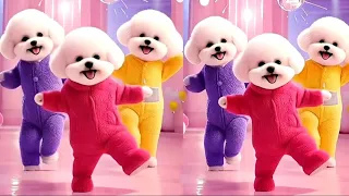 Cute puppy crazy dancing💃😀 Funny Videos for puppy💃🤣| #puppydance #catvideos #viraldance