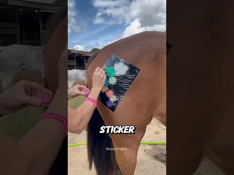 Star Horse Sticker Challenge ⭐😱 #shorts #trending #jaidmeel #shortsvideo #challenge #viralvideo
