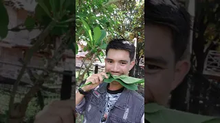 หลักการใช้ชีวิต  EP99999