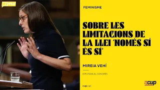 Mireia Vehí sobre la llei #SoloSiEsSi