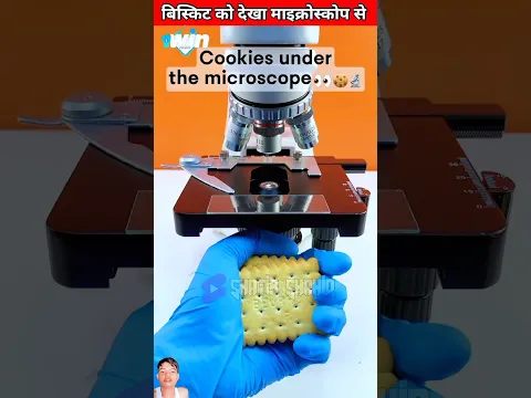 बिस्किट को माइक्रोस्कोप से देखने पर हमें ये क्या दिखा 🤔??