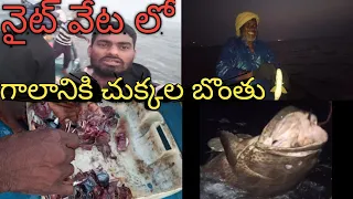 నైట్ తెప్ప వేటలో గాలానికి ఏ చేపలు పడ్డాయో చూడండి #viral #youtube @port ramu subscribe to🙏🤝❤