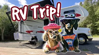 Ep 58: The Dogs Go On a RV CAMPING TRIP!