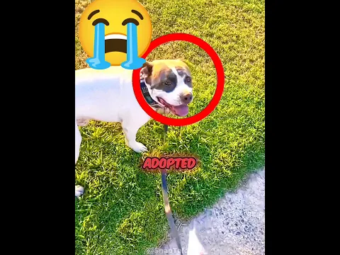 #audios