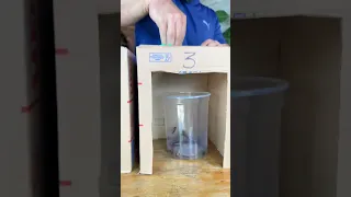 ENCONTRE O DINHEIRO NAS CAIXAS MISTERIOSAS!😱