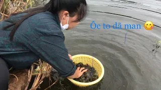 Bắt ốc và nướng muối ớt 🌶 siêu cay// Rai Vlogs