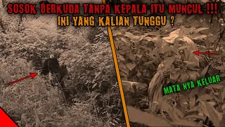 AKHIRNYA MANUSIA BERKUDA TANPA KEPALA MUNCUL JUGA