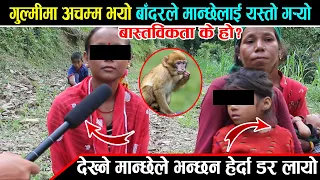 गुल्मीमा अचम्म भयो बादरले मान्छेलाई यस्तो गर्यो ll Gulmi News