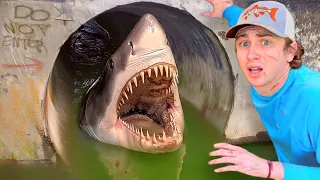 I Found a Hidden Tunnel FILLED with DEADLY FISH!