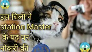 दिल को छू जाने वाली Tama बिली की सच्ची कहानी 😓|daily_fact_wala| #story#1min_story
