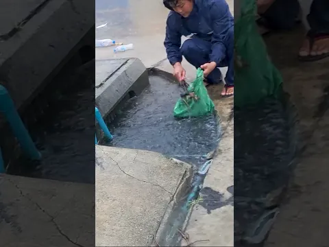 Cleaning Trash
