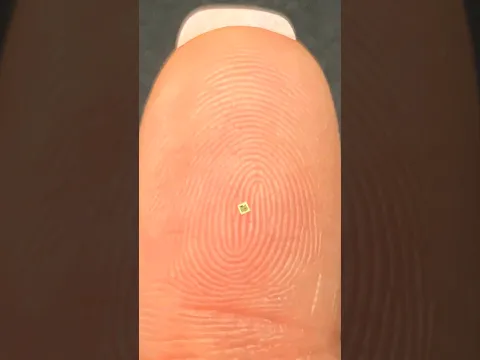 HAY UN MICROCHIP EN MI QUESO!!! La nueva tendencia...