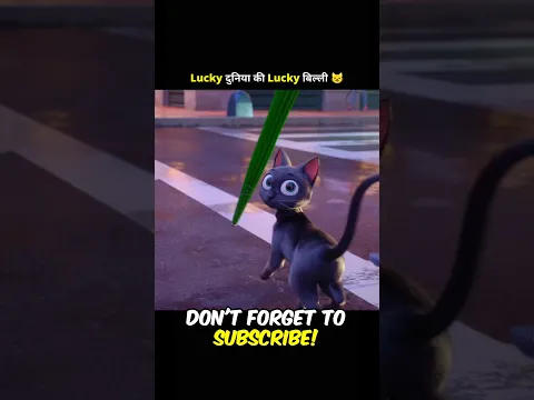 This cat is very Lucky.🤞 #shorts #ytshorts