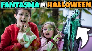 IL FANTASMA DI HALLOWEEN Ha Rapito il Nostro Coniglietto: Famiglia GBR
