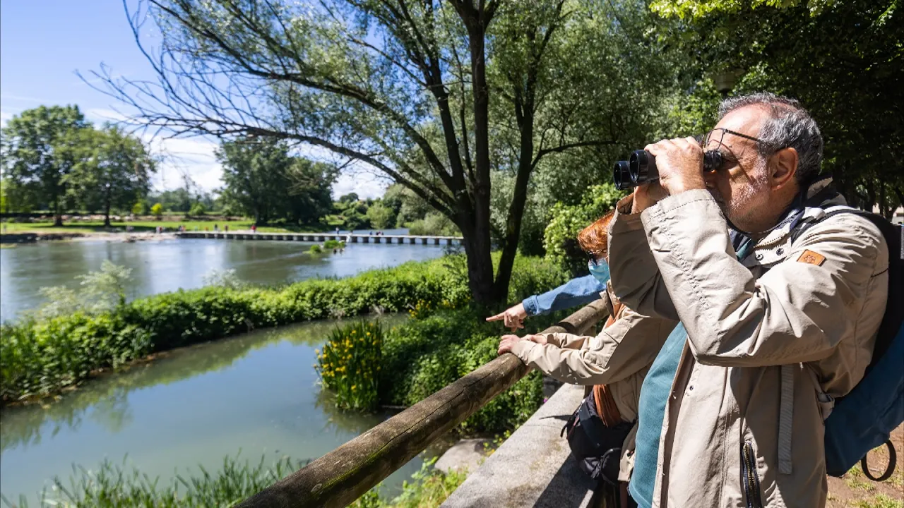 S’estrena amb èxit la primera edició del Birding Ter a Manlleu