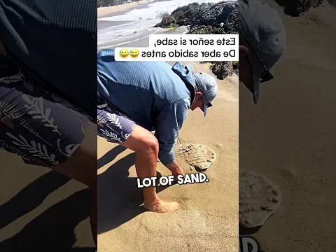 Scary Sand Fleas 😰