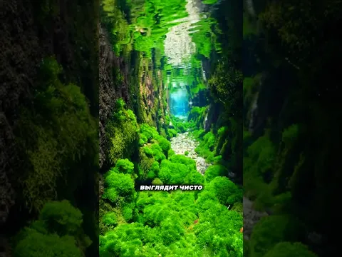 Тут можно купаться?🫣