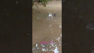 Keselamatanmu melebihi dari hobi mancingmu...ingat itu...!