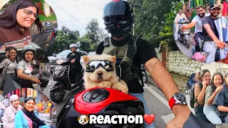 🐶Riding My Kawasaki ZH2 with My Cute Dog❣️| Part 2 #dog #reaction #kawasaki 