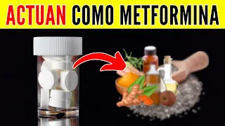 7 Alimentos Que Actúan COMO METFORMINA Para Los Diabeticos