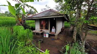 TENTRAMNYA.. Tinggal Sendiri Di Rumah Sederhana Kampung Terpencil | Pedesaan Sunda Jawa Barat
