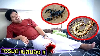 คนใจบาปชอบทำร้ายสัตว์ ระวังกรรมจะตามสนอง!!  [ละครกฎแห่งกรรมเต็มเรื่อง] | คิดดีทีวี