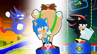 Sonic Animation Memes That Make No Sense