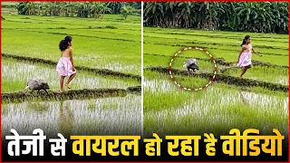 Why Is This Little Girl Video Going Viral ? 😱