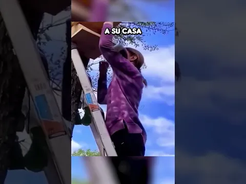 No creerás lo que le pasó a esta ardilla cuando cortaron su árbol 😱​❤️​